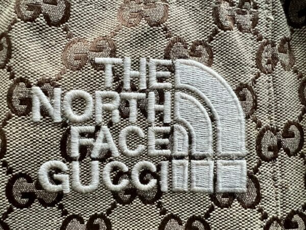 The North Face x Gucci Canvas Shorts