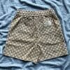 The North Face x Gucci Canvas Shorts