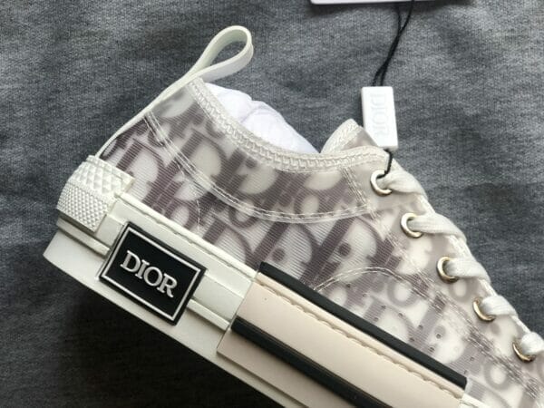 christian dior b23 low