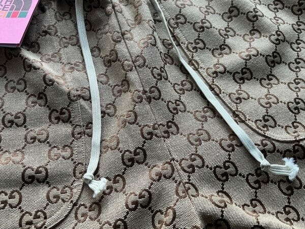 The North Face x Gucci Canvas Shorts