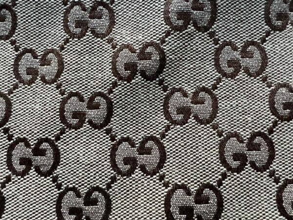 The North Face x Gucci Canvas Shorts