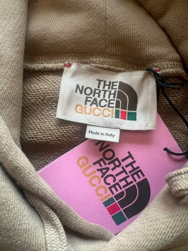 The North Face x Gucci Hooded Sweatshirt
