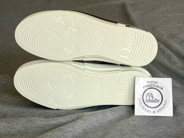 Dior × Hajime Sorayama "Retro-Futuristic" Collection B23