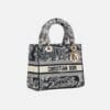 Medium Lady D-Lite Bag (On Hand)