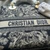 Medium Lady D-Lite Bag (On Hand)