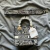Medium Lady D-Lite Bag (On Hand)
