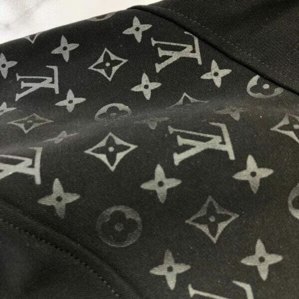Louis Vuitton Hooded Sweatshirt