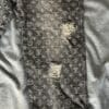 Louis Vuitton Monogram Denim Jeans (On hand)