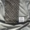 Louis Vuitton Monogram Denim Jeans (On hand)