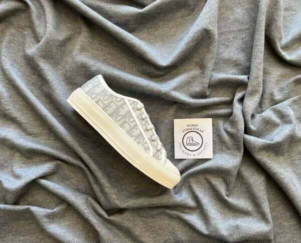 Dior Canvas Low Sneaker