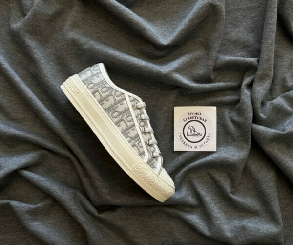 Dior Canvas Low Sneaker