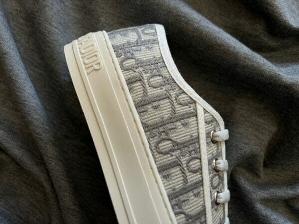 Dior Canvas Low Sneaker