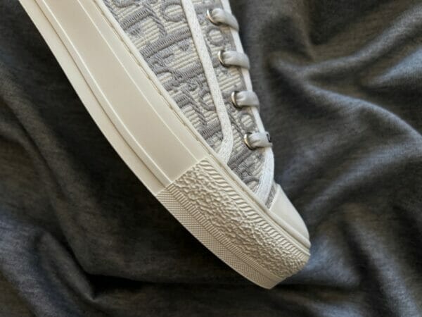 Dior Canvas Low Sneaker