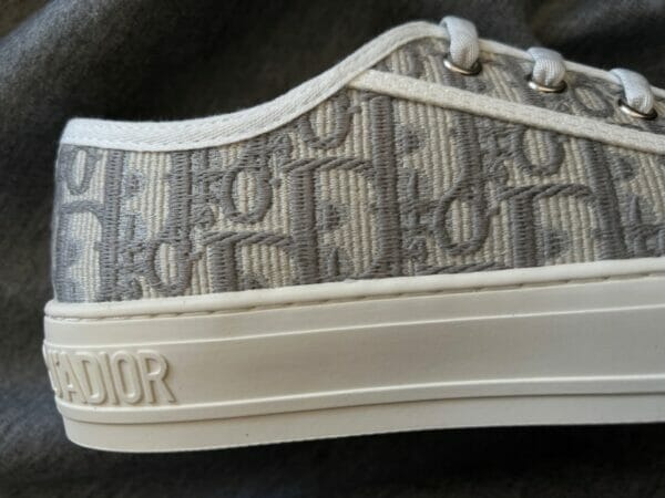 Dior Canvas Low Sneaker