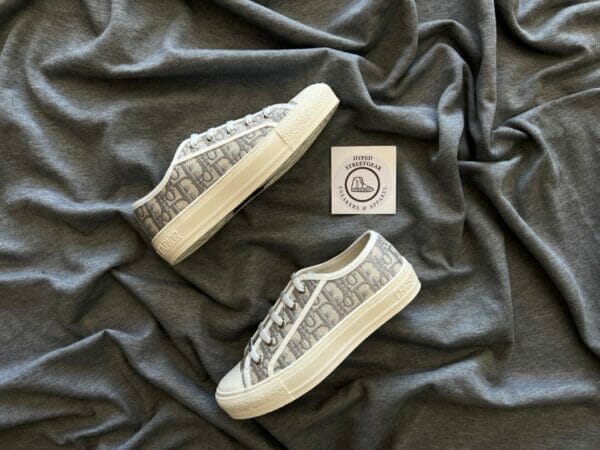 Dior Canvas Low Sneaker