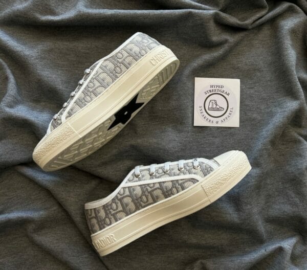 Dior Canvas Low Sneaker