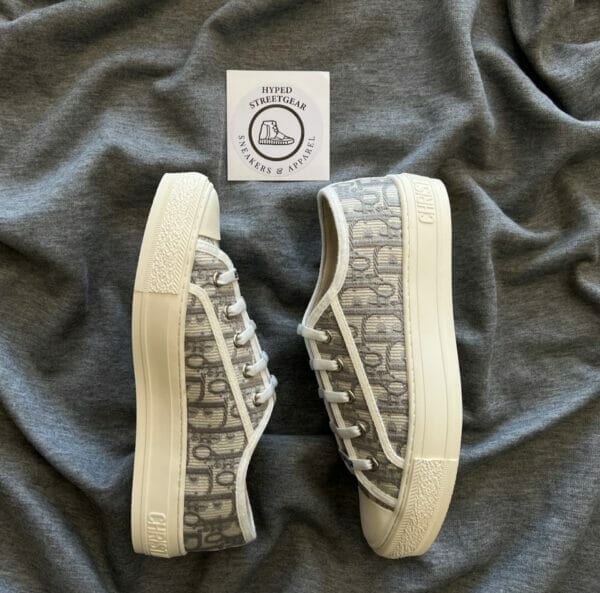 Dior Canvas Low Sneaker