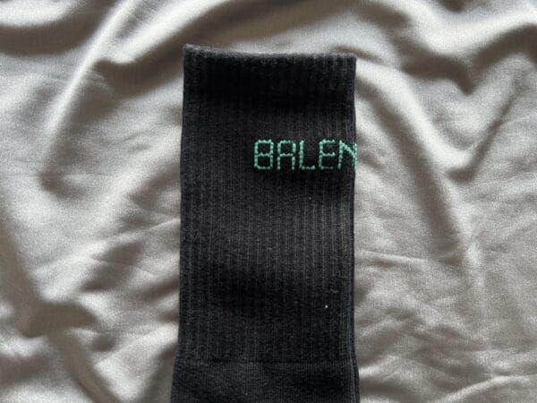Balenciaga logo knit socks (OH)
