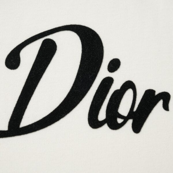 Dior Embroidery Logo-print T-shirt