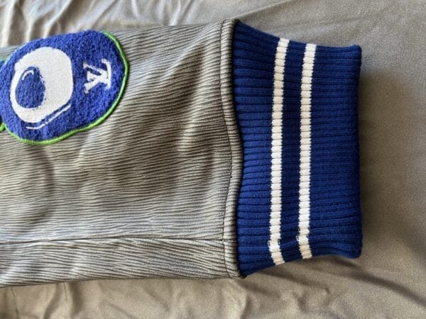 Louis Vuitton Embroidered Varsity Blouson