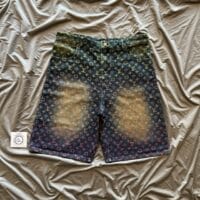 Louis Vuitton Multi-Colour Denim Shorts